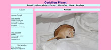 Gerbilles Planet