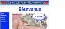 Les gerbilles de mon coeur