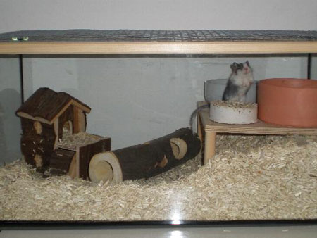 C'est sympa chez moi !